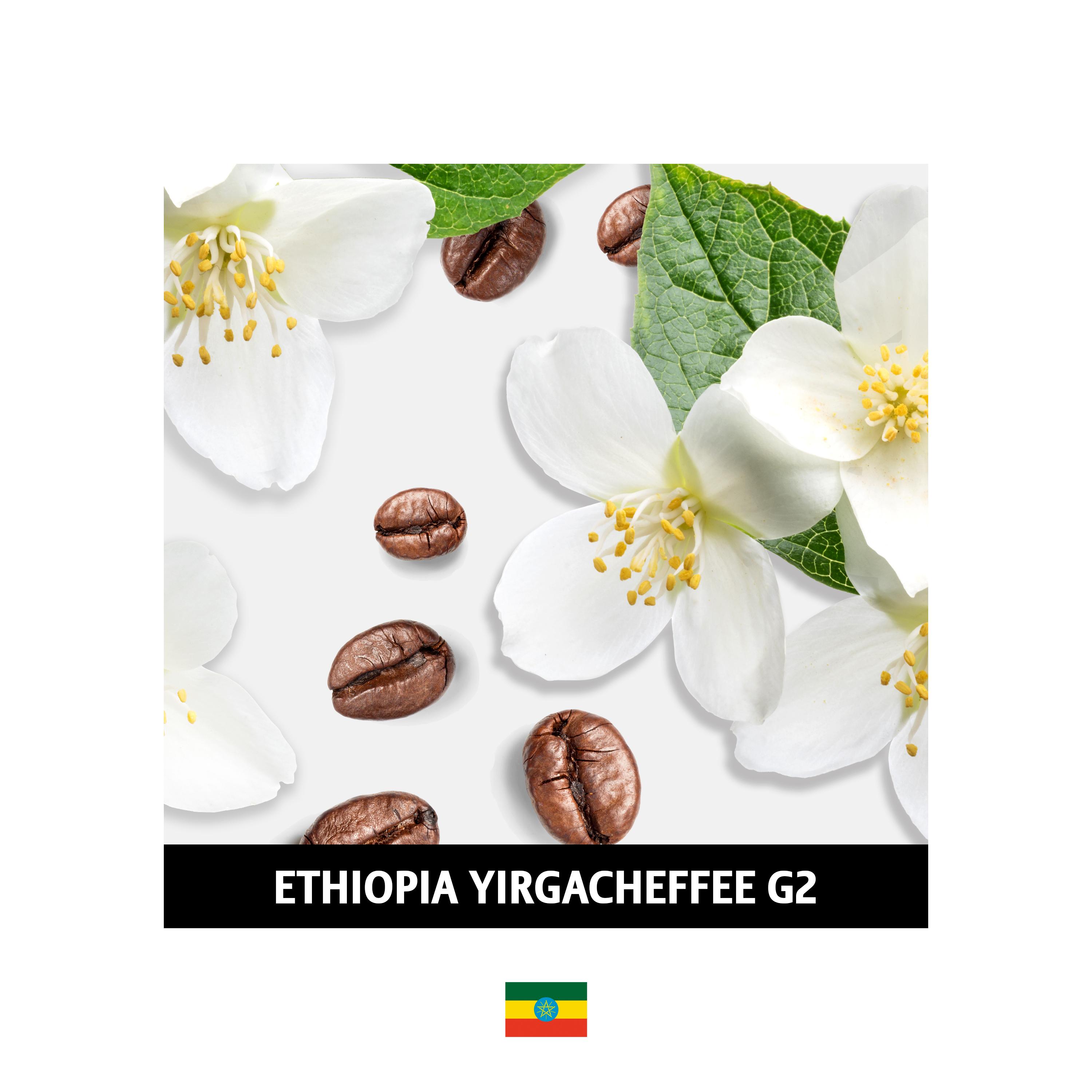 알라카르테 [원두200g 3종 패키지] 에스프레소 블렌드+에티오피아+탄자니아