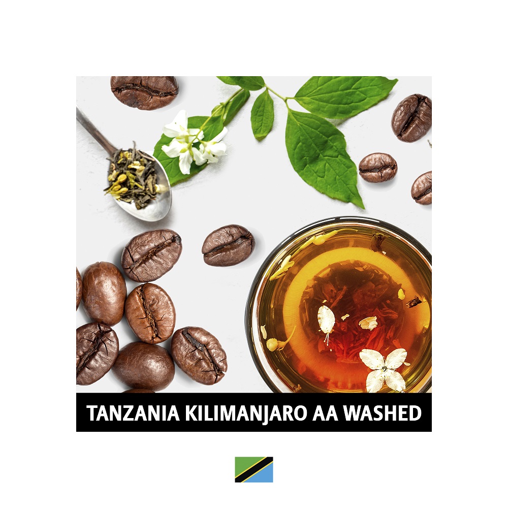 Cafe de Jura 싱글오리진 탄자니아 킬리만자로 AA 워시드 200g